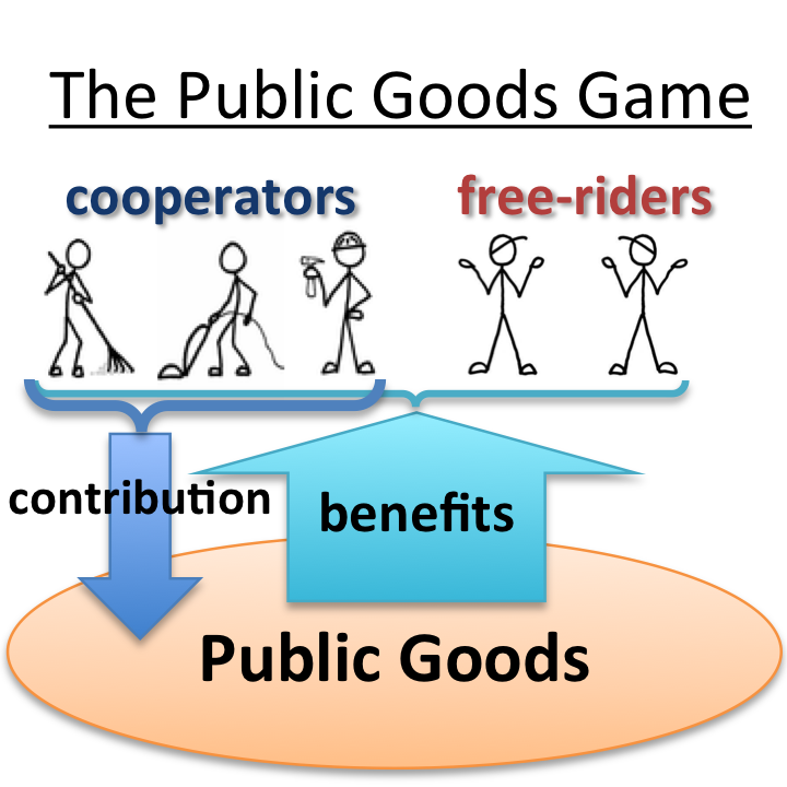 public-goods-short-answer